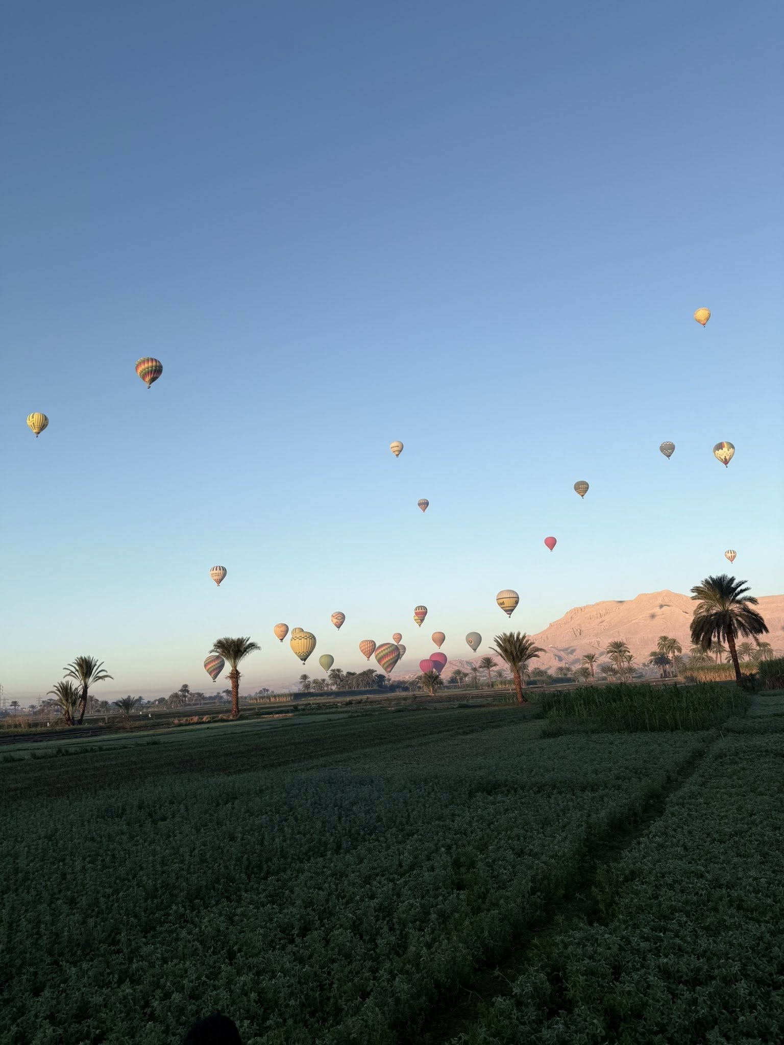 جانب من تحليق البالونات غرب الأقصر