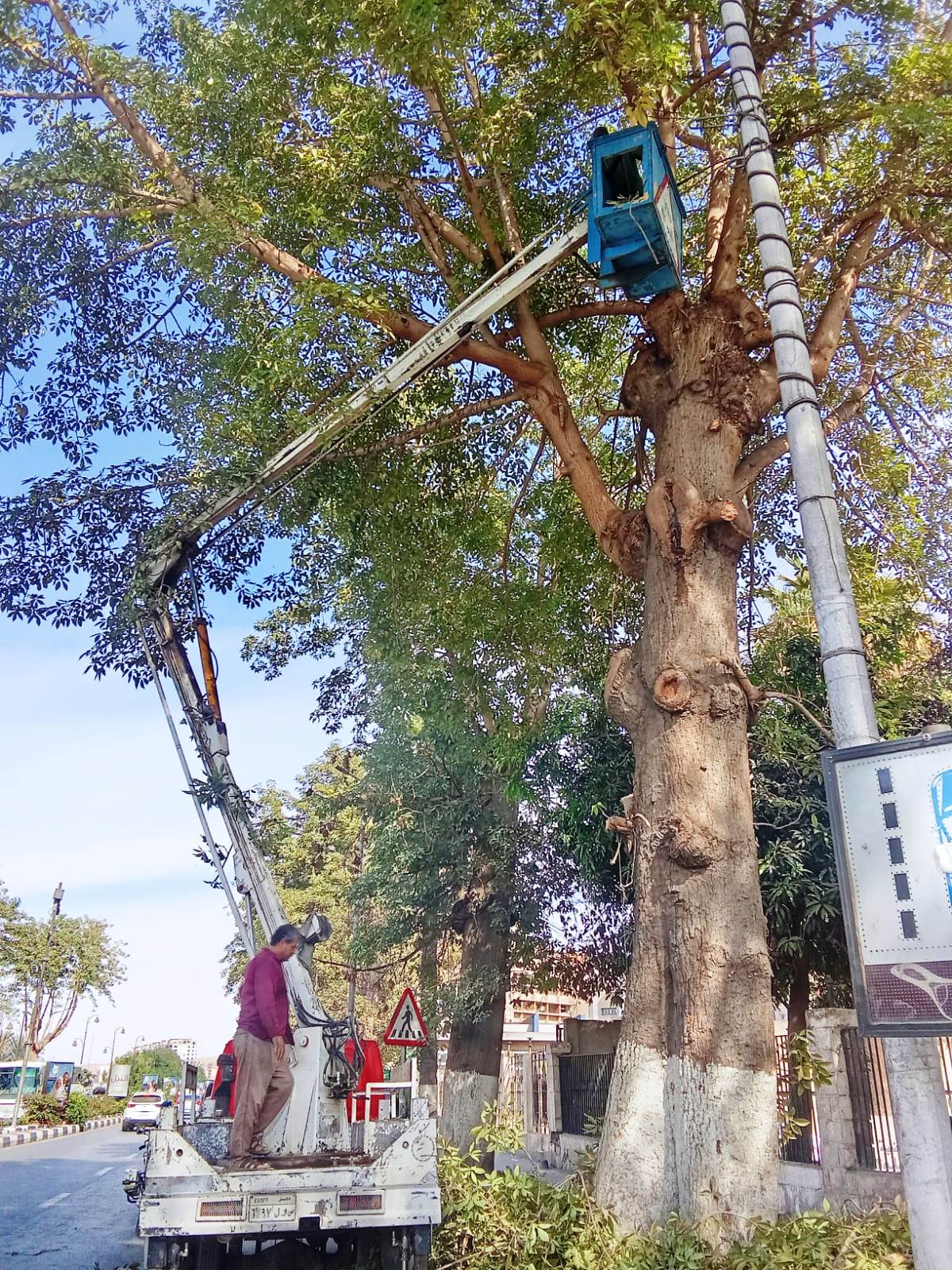 إنارة الشوارع_1