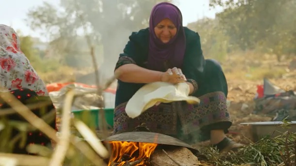 شجرة المهراس