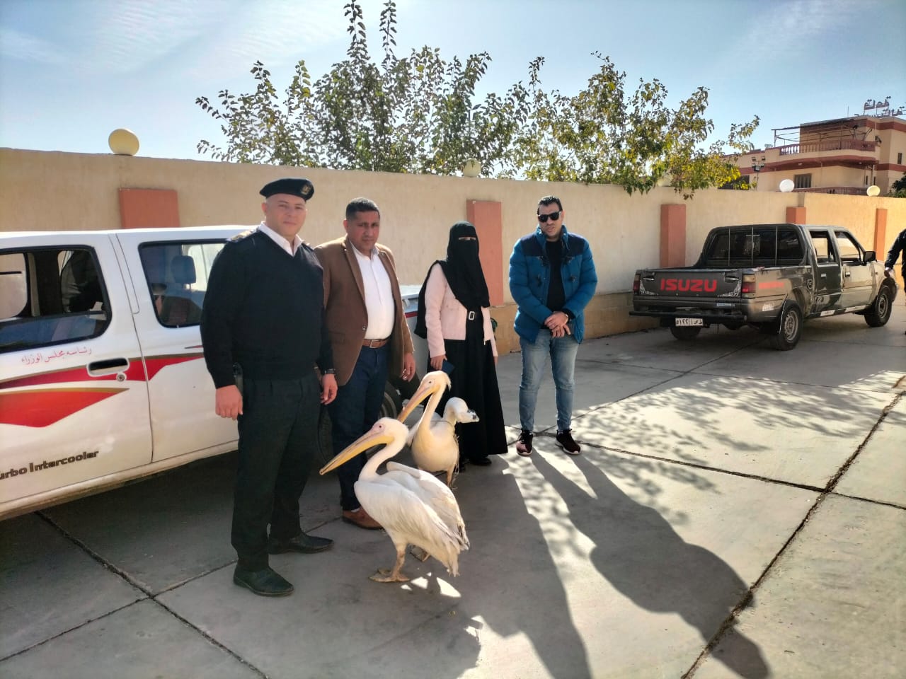 لحظة التحفظ على البجع