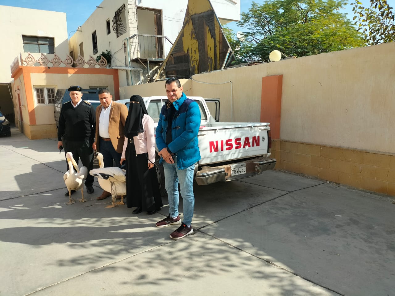 البجع مع جهات الضبط