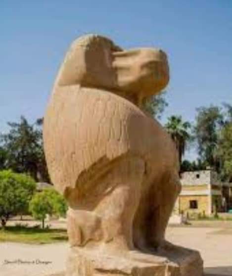 الأشمونين الأثرية  (3)