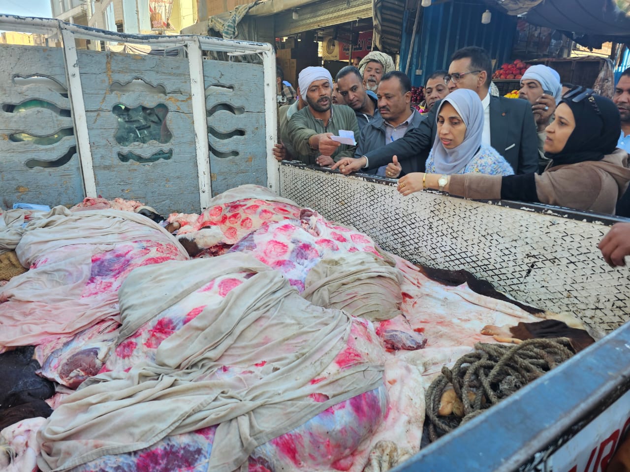 ضبط أطنان من اللحوم يشتبه فى صلاحيتها بمدينة إسنا