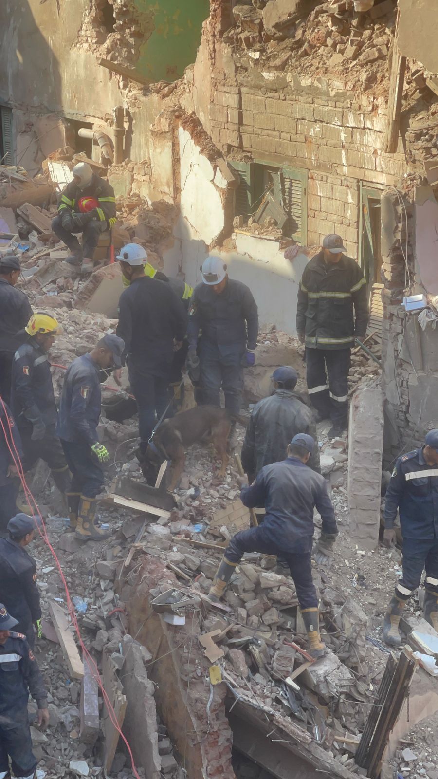 01938b69-8785-401b-8250-e86665abb289