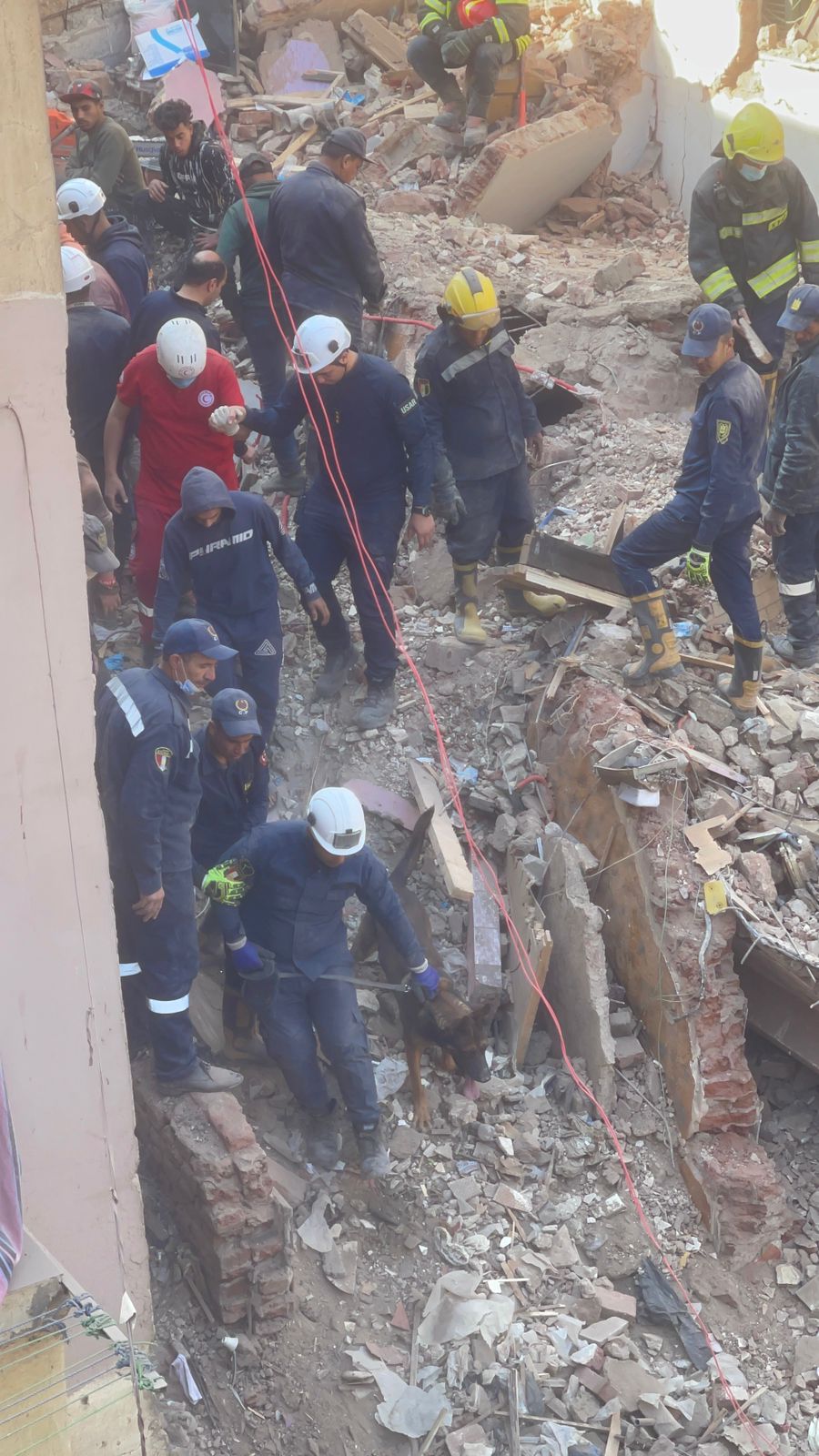 9a0b3f9b-357c-4319-b440-bc888d3e6e47