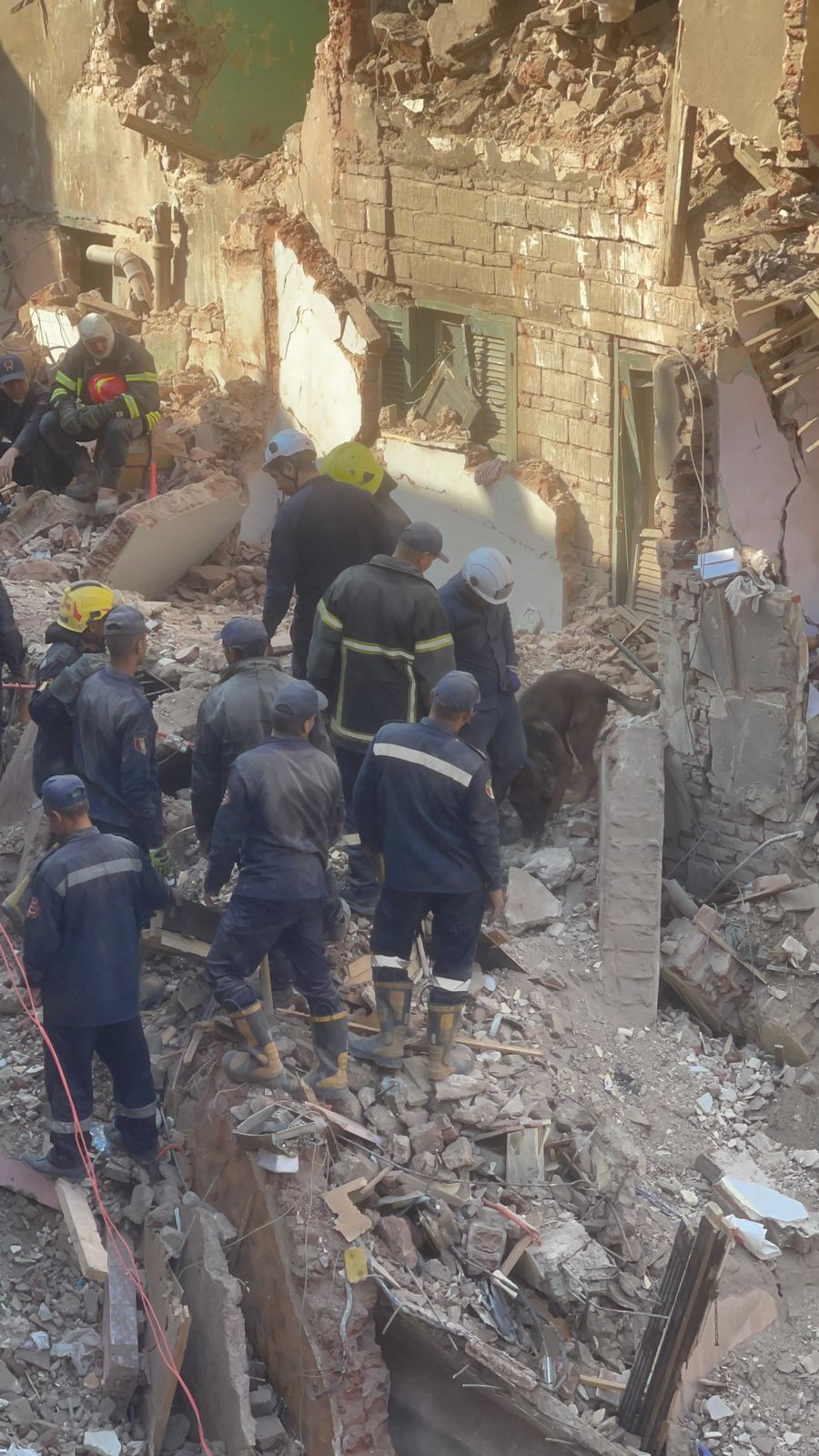 e1e409b9-9b5d-41f8-87b3-07f26e547b38