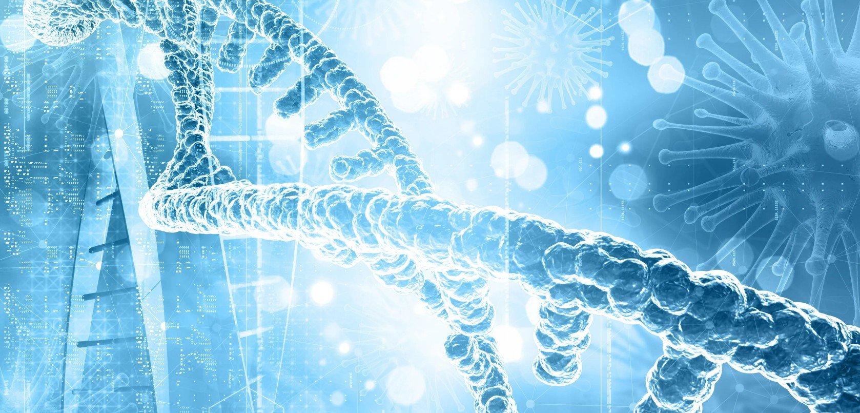 جين يعمل على تهدئة العقل