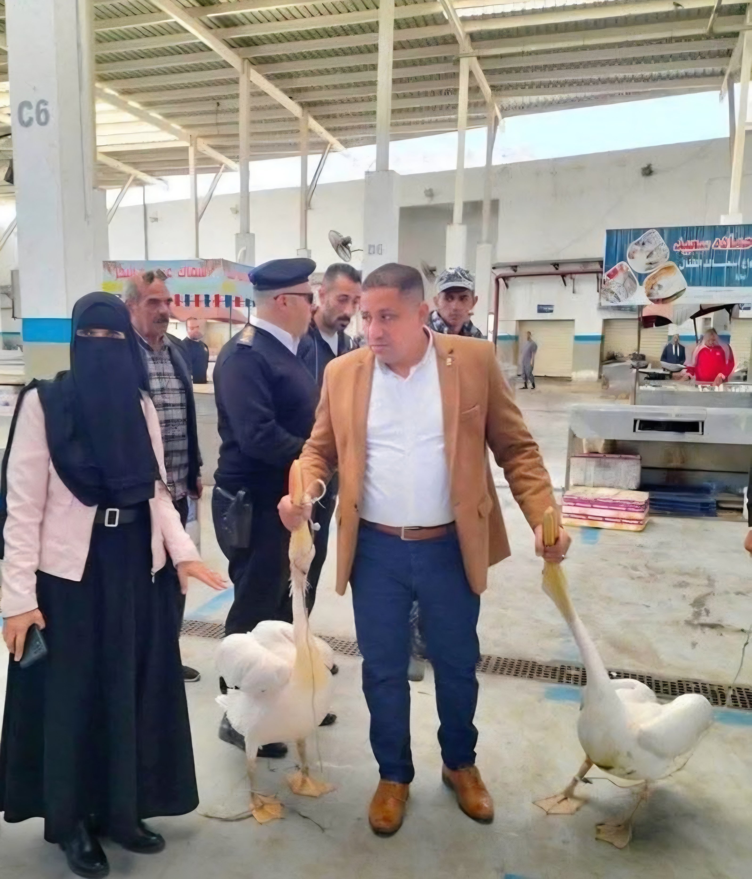 Iالبجع داخل السوق