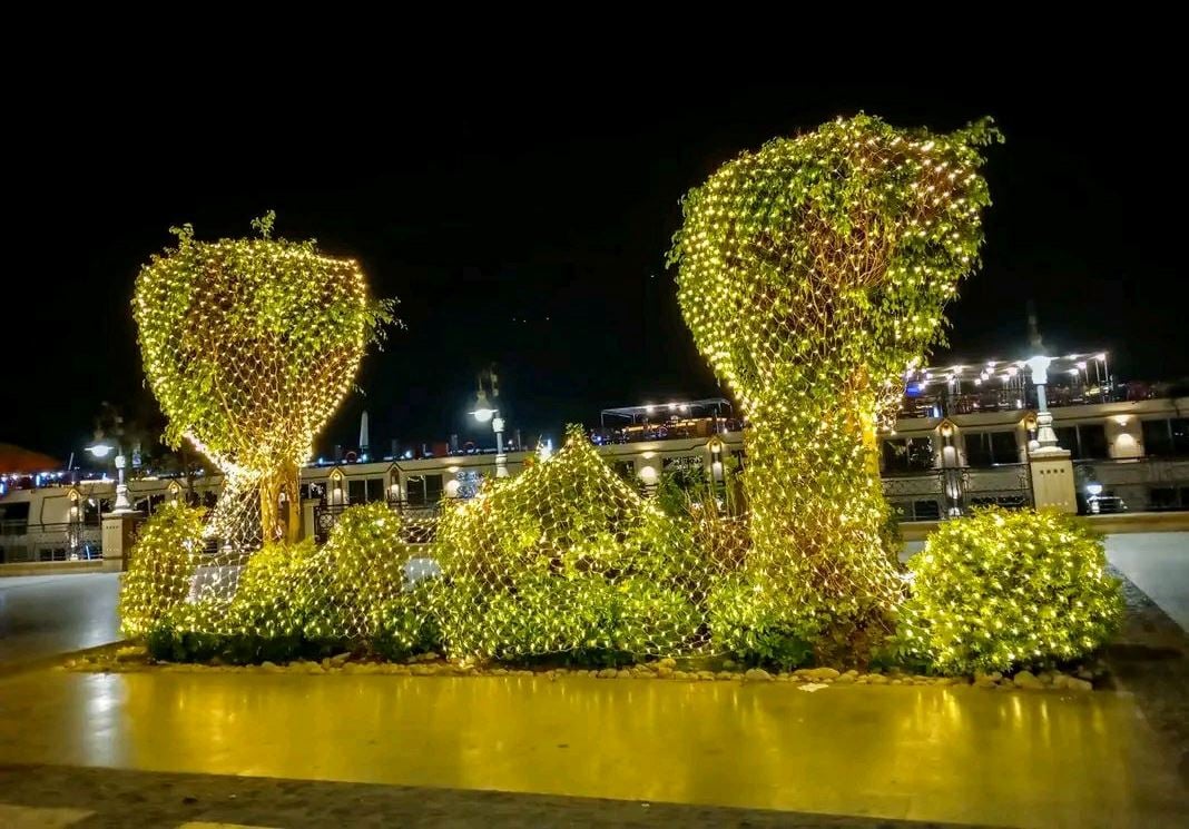 تجميل أشجار كورنيش النيل بالأضواء فى الأقصر