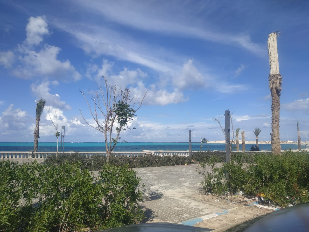 مناطق خضراء -كورنيش مطروح بعد تطويره مناطق خضراء -كورنيش مطروح بعد تطويره