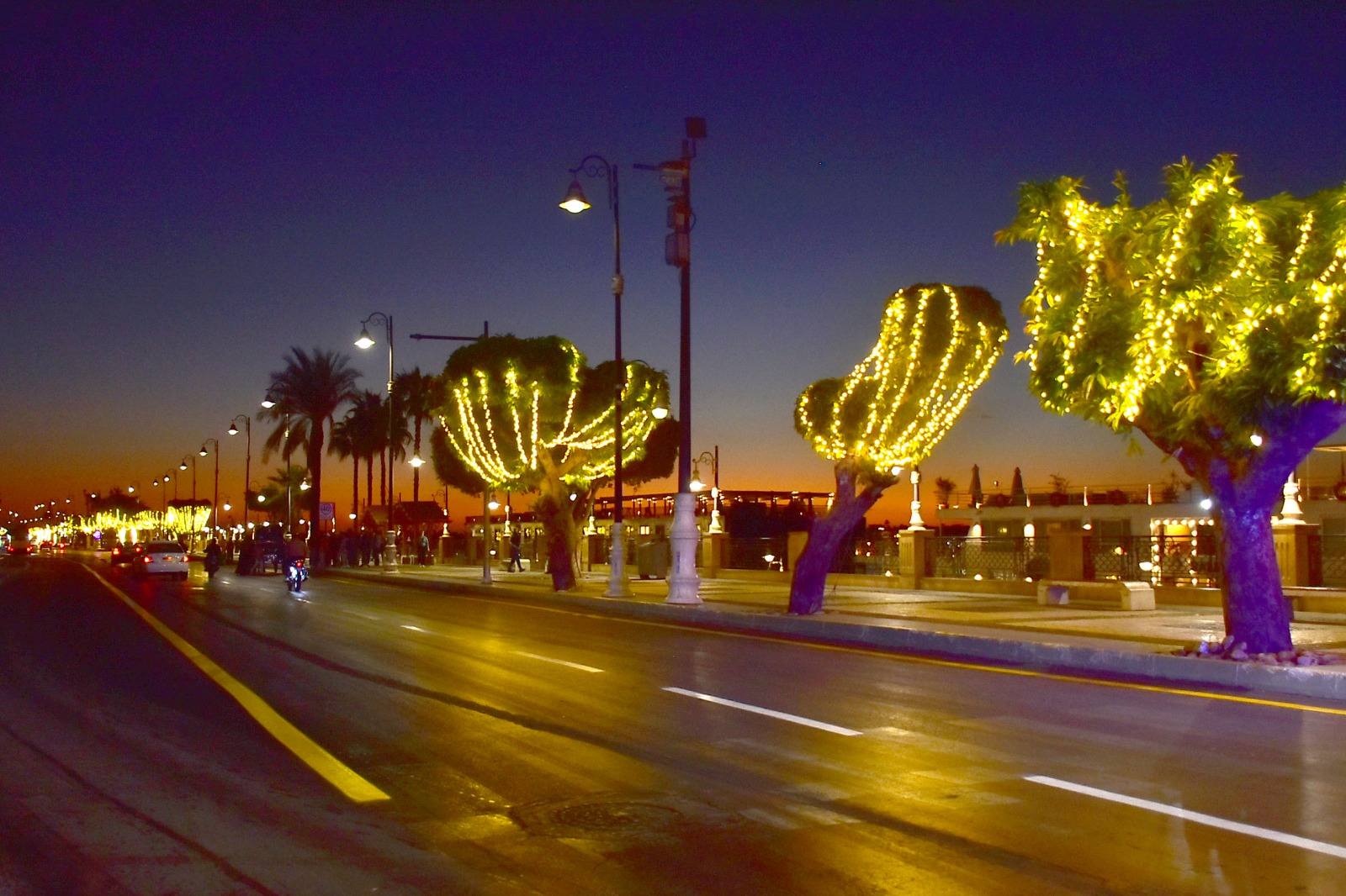 جانب من تجميل الأشجار بالأضواء على كورنيش الأقصر