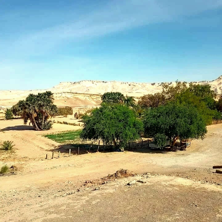 عين اللبخة افضل مكان للسياحة التأملية