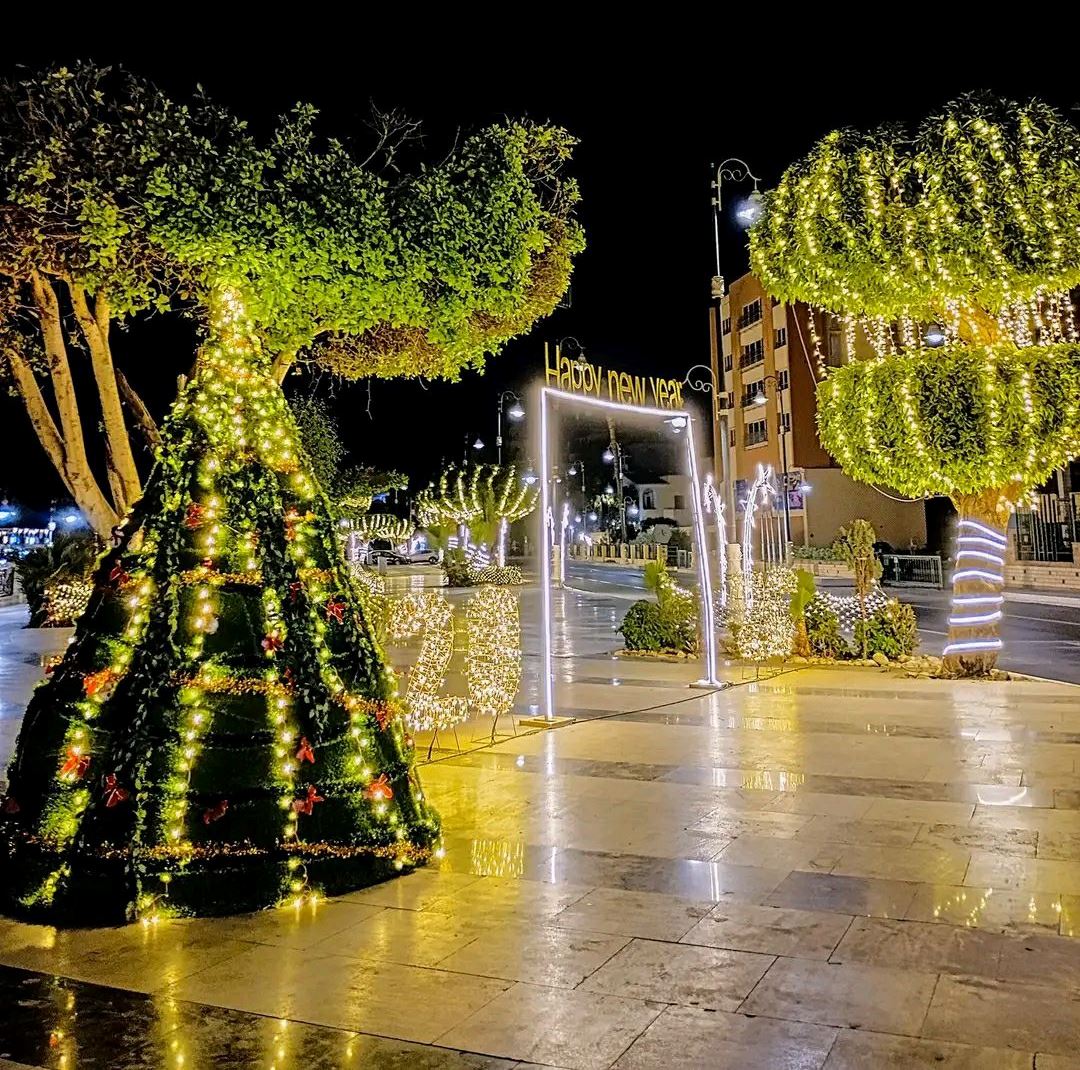 أشجار الكريسماس على كورنيش النيل بالأقصر