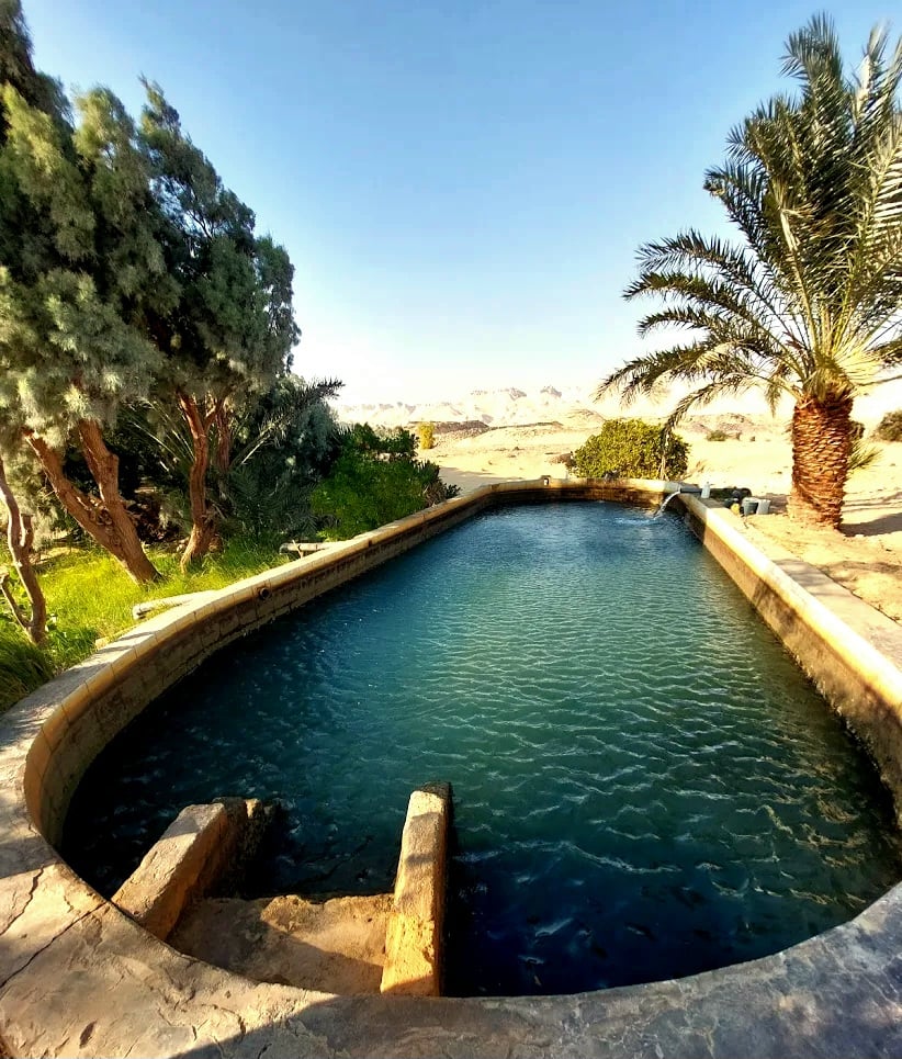 رفع كفاءة مخيم عين اللبخة