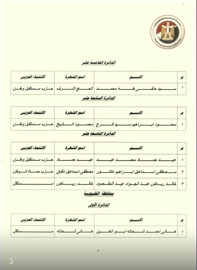 نتيجة المرحلة الثانية لانتخابات مجلس النواب (14)