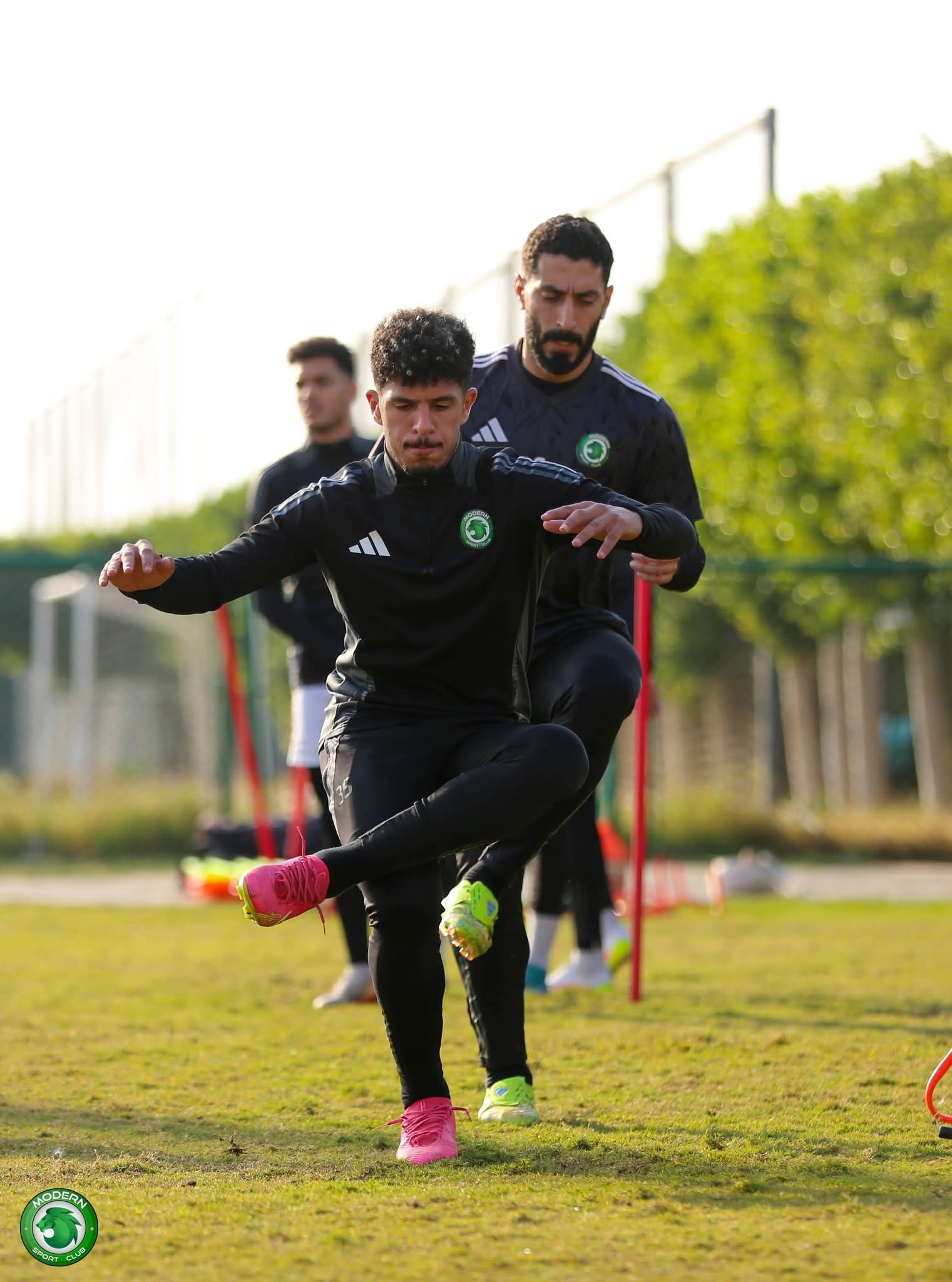 محمود ممدوح