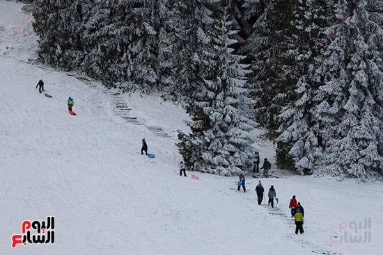 جبال تاترا البولندية تتلألأ بالأبيض