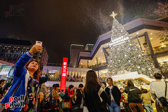 التقاط الصورة لشجرة عيد الميلاد