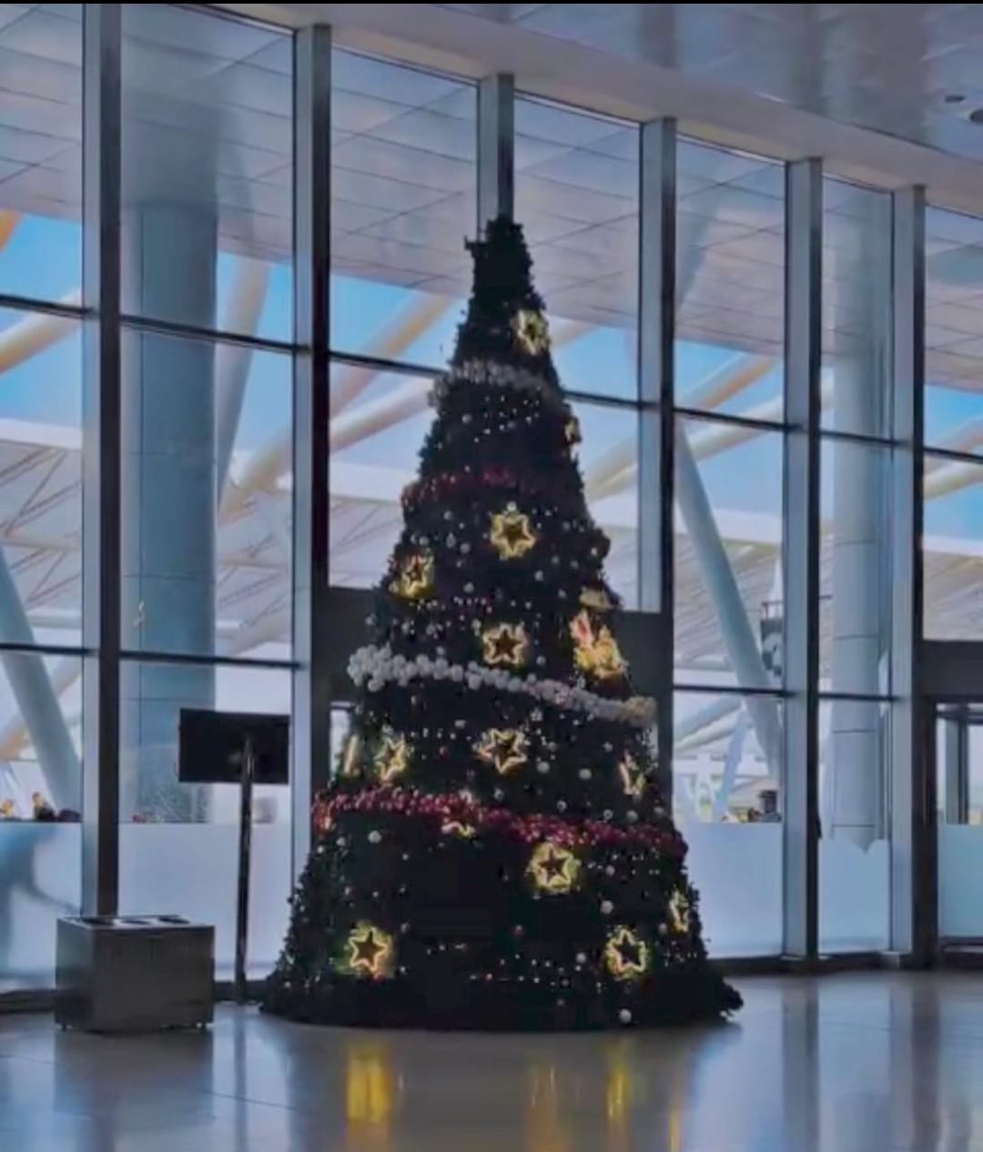 1000260601 1000260601