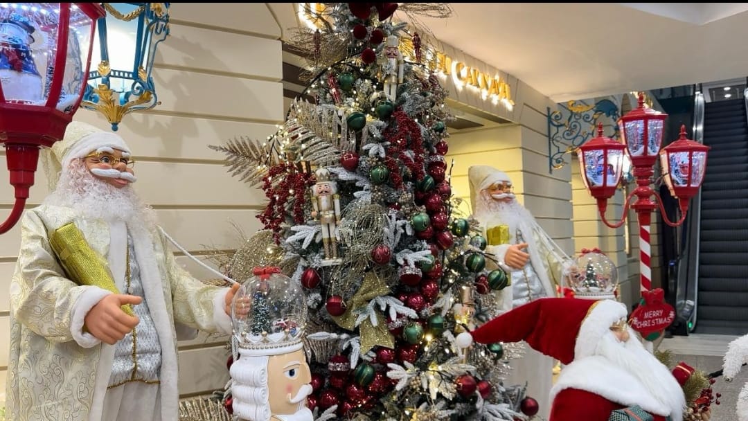 1000260616 1000260616