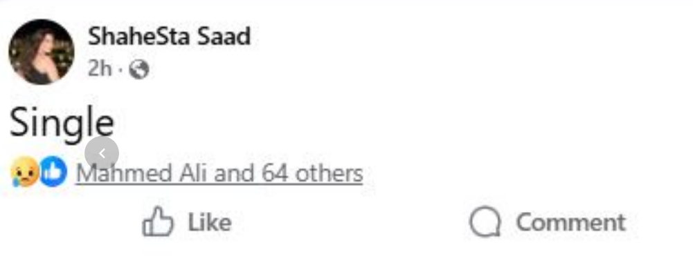 تغريدة شاهيستا سعد