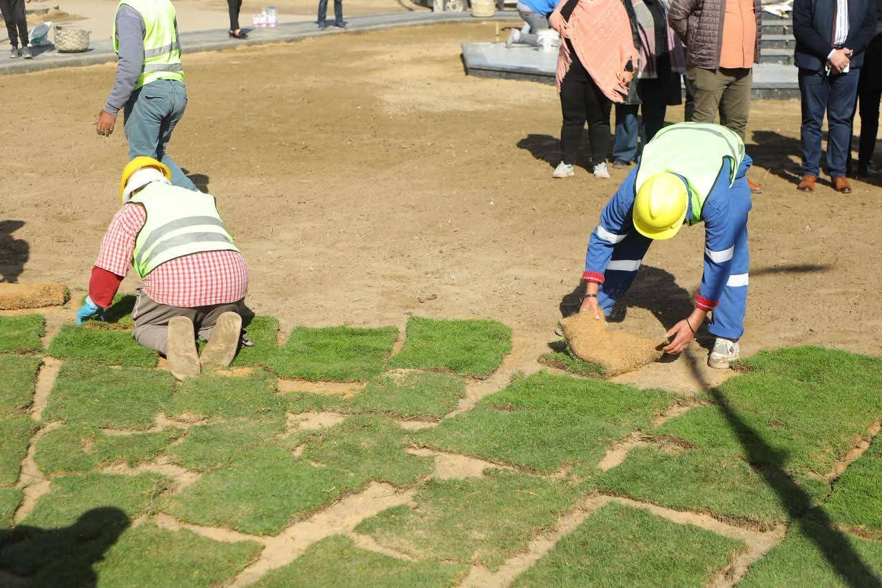 اعمال فرش النجيل