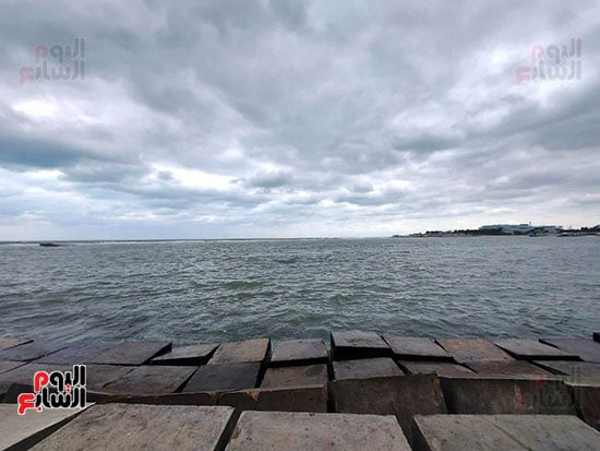 نوة-الكرم-بالاسكندرية5