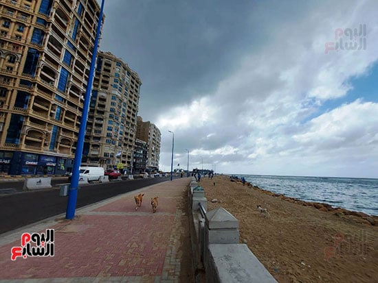 نوة-الشمس-الكبرى