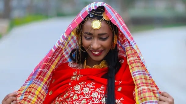 الجيرتيك الجيرتيك