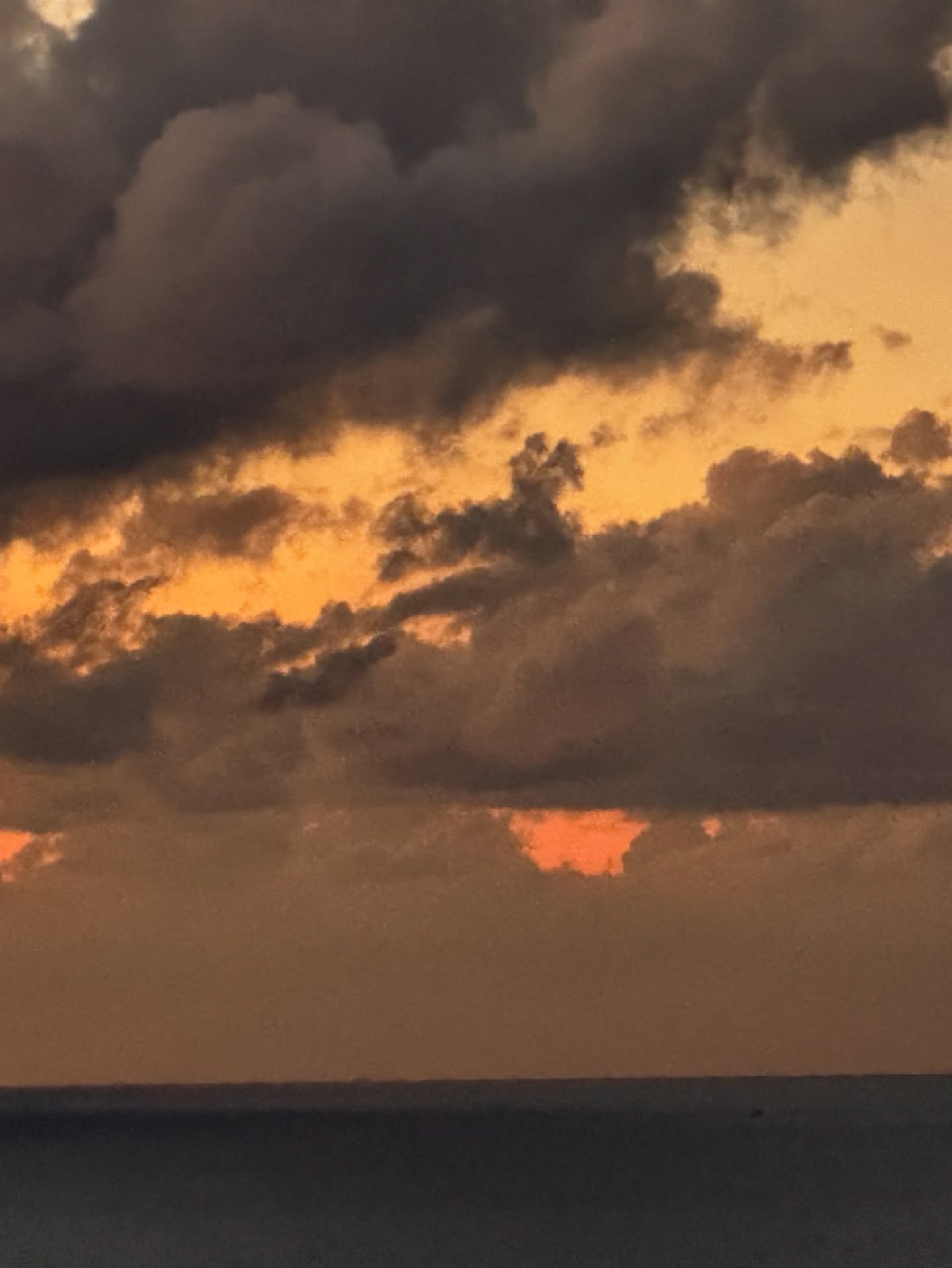 كندة علوش،كنده علوش وعمرو يوسف، عمرو يوسف وكندة علوش،كندة علوش في اسكندرية ،كندة علوش في الإسكندرية، (9)