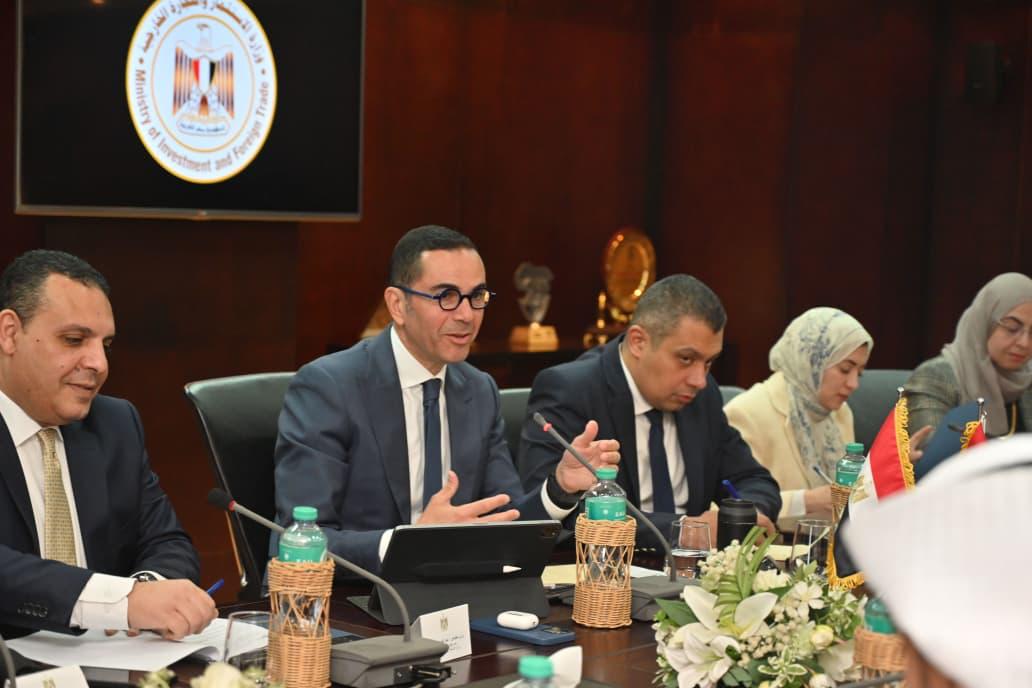 مباحثات مصرية إماراتية (2)