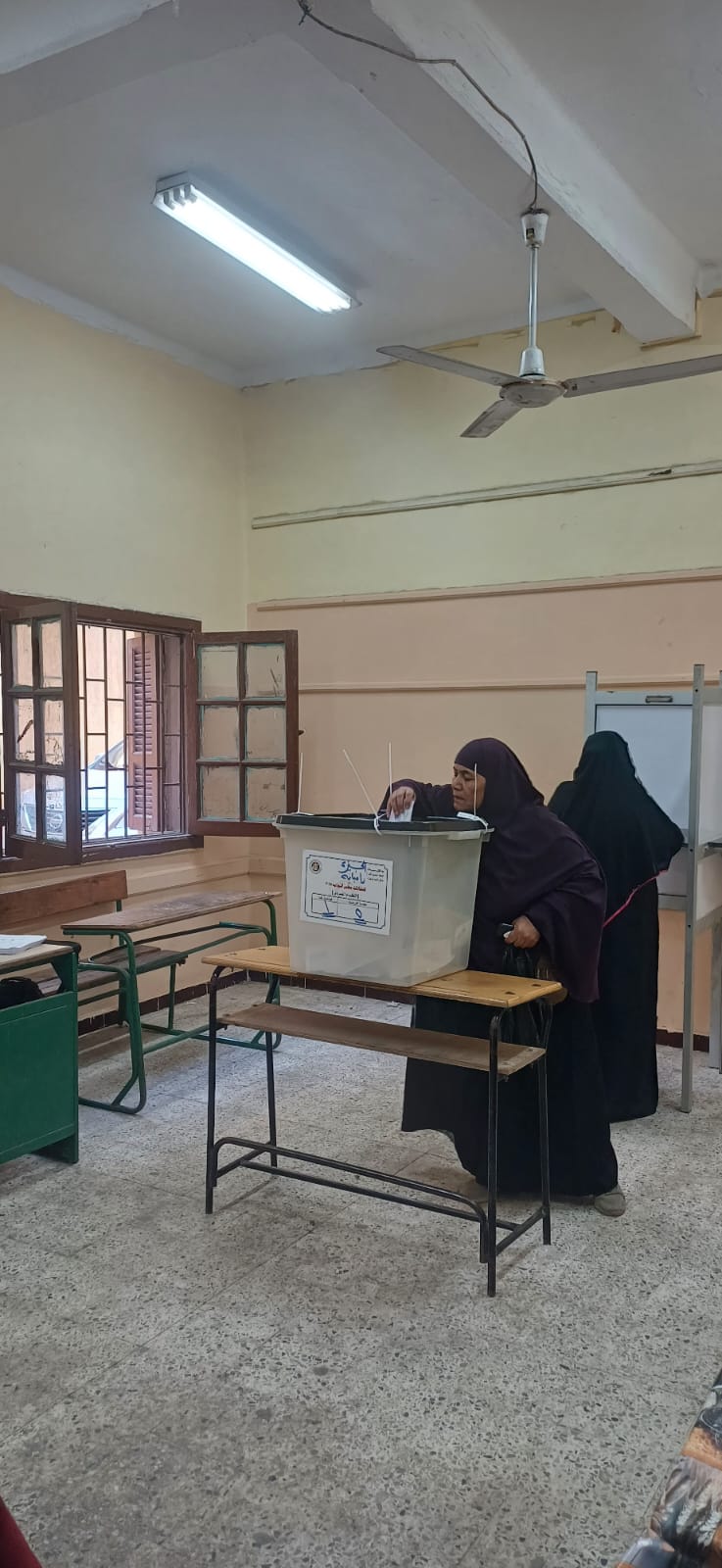 سيدات امبابة يتصدرن المشهد الانتخابى فى امبابة (6)