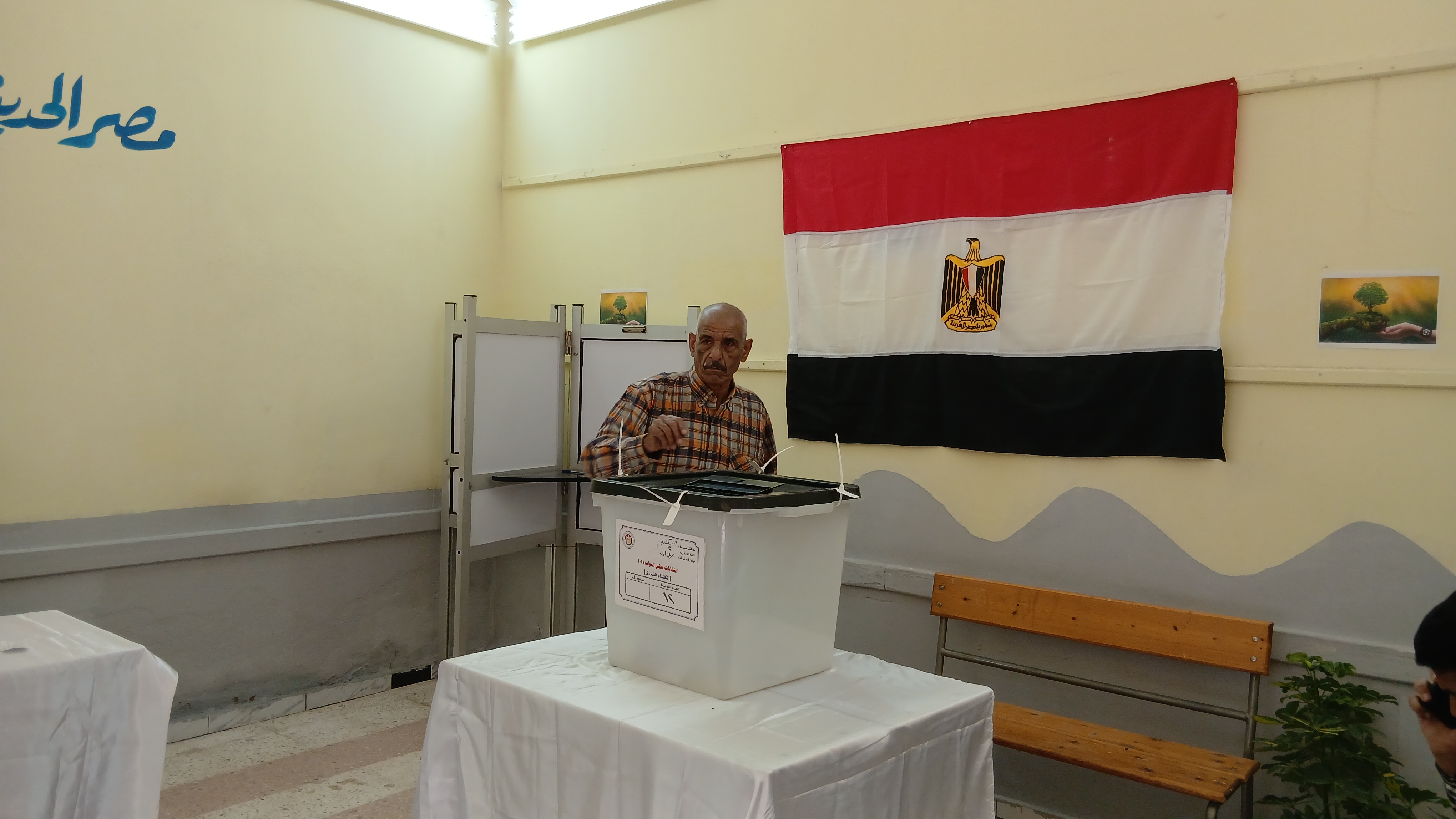 مسن يدلي بصوته في جولة الإعادة بالإسكندرية