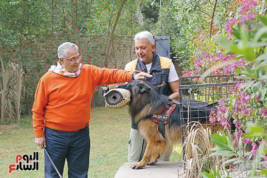 تدريب-كلاب-الحراسة-تصوير-ماهر-اسكندر-17-12-2025-(14)