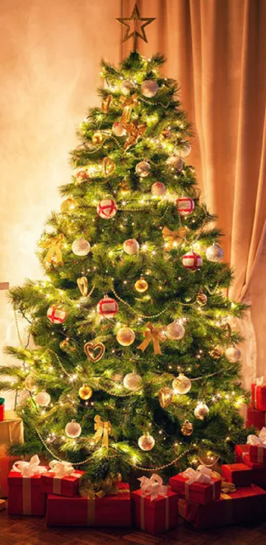 شجرة الكريسماس