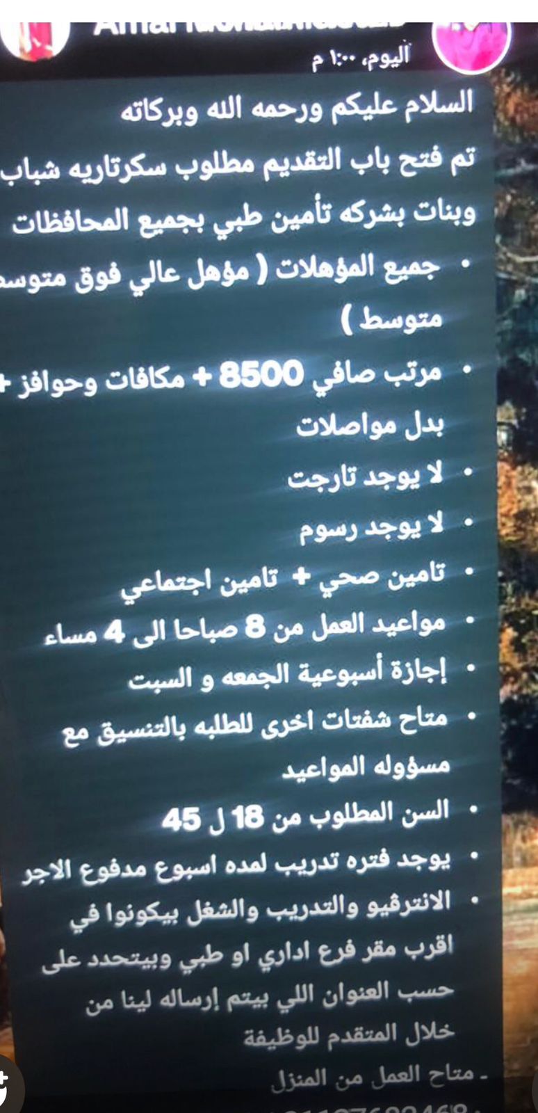 الإعلان الوهمى للوظيفة الذى كان فخًا لاستقطاب إحدى الضحايا