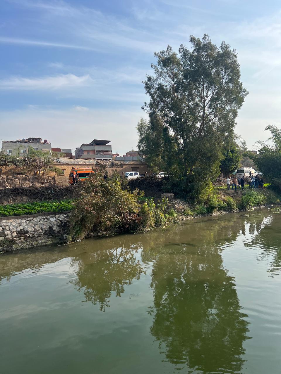 البحث عن رضيع