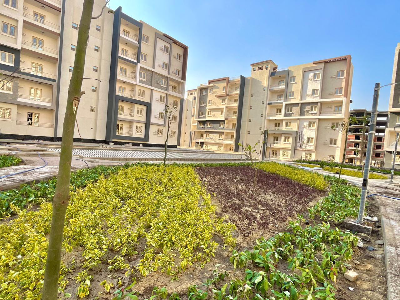 WhatsApp Image 2025-12-30 at 3.01.38 PM WhatsApp Image 2025-12-30 at 3.01.38 PM