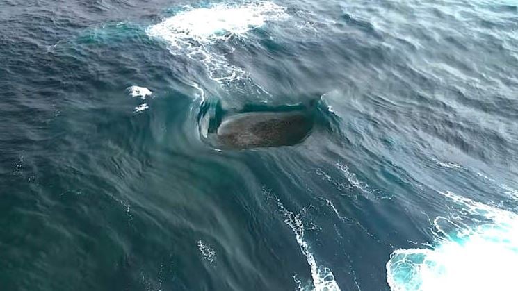 موجة فريدة تحير السوشيال ميديا وانقسام هل هى طبيعية أم ذكاء اصطناعى