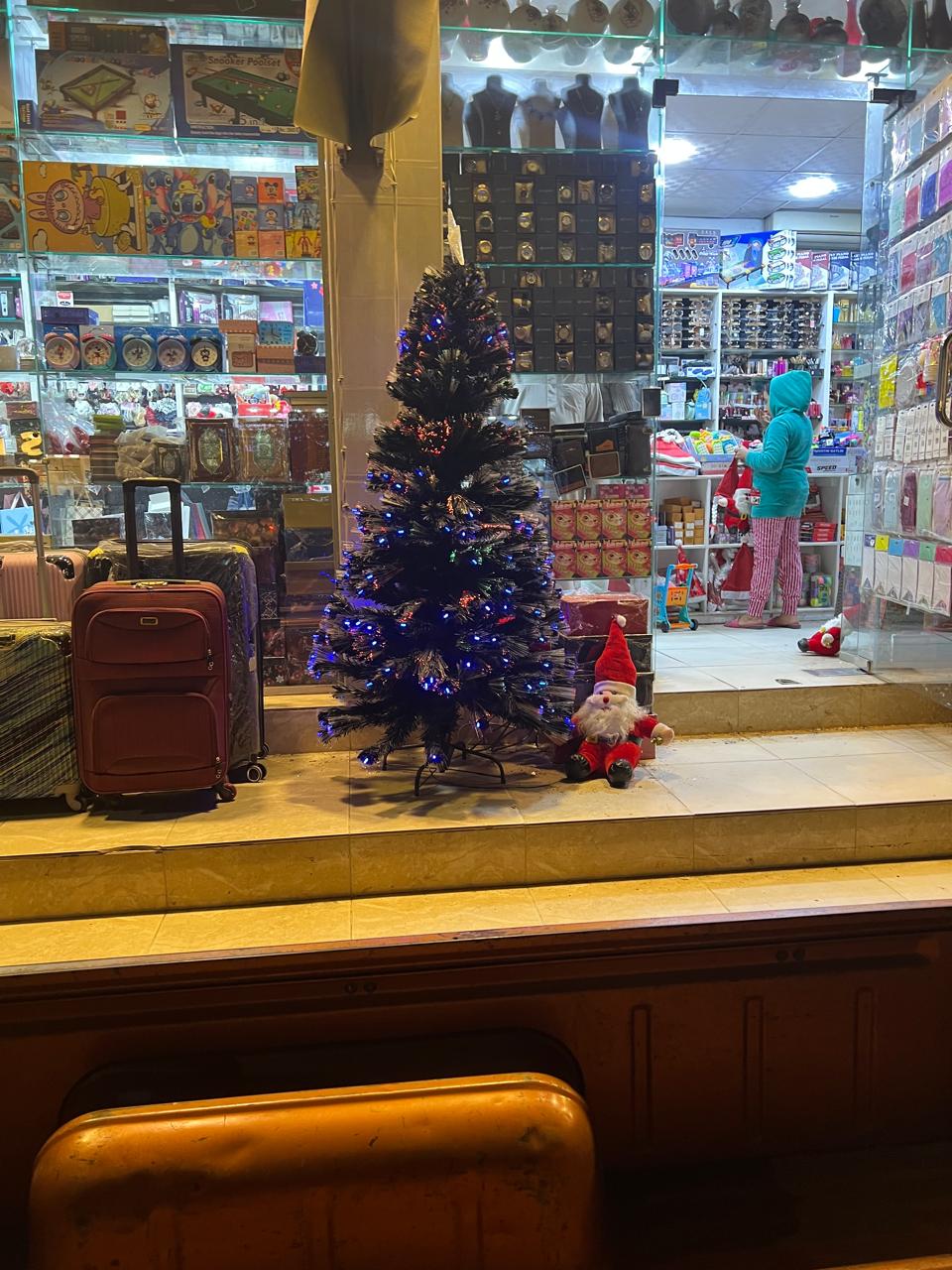 اشجار الكريسماس امام المحلات