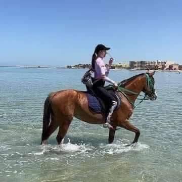 الرحلات على شواطئ الغردقة (3)