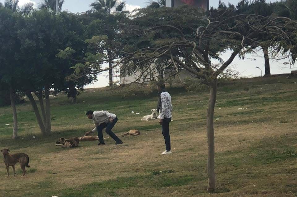 جانب من الحملات جانب من الحملات