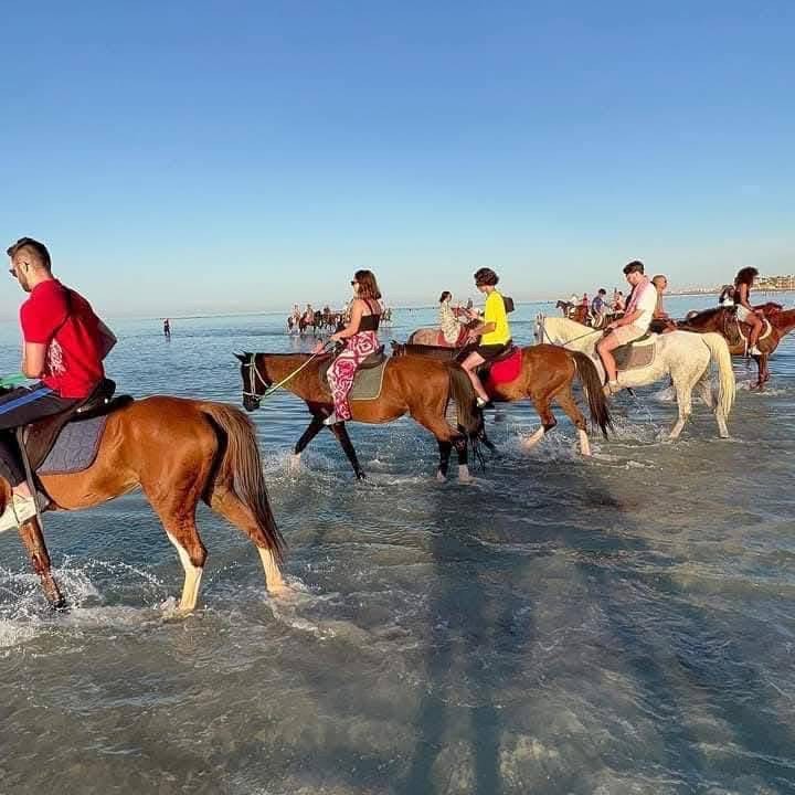 الرحلات على شواطئ الغردقة (1)