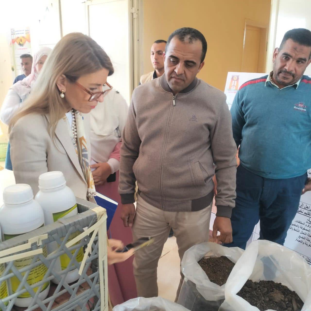 انتاج خليط من علف الكمبوست والازولا 