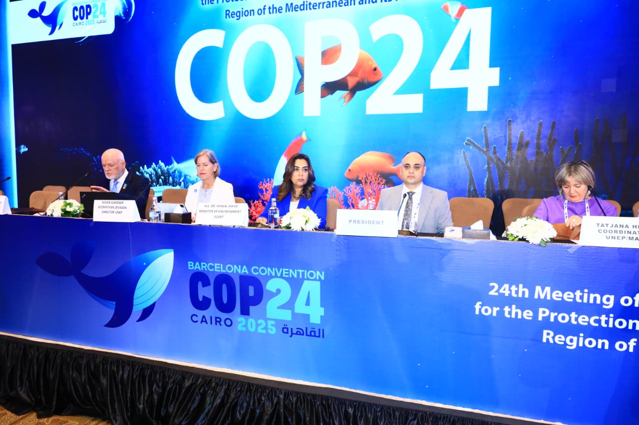 مبعوث الأمين العام للأمم المتحدة لشئون المحيطات