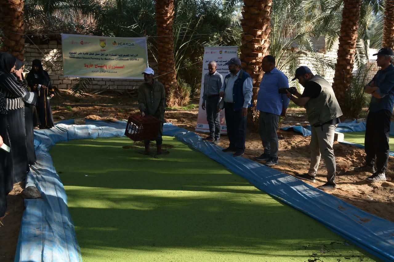 نجاح انتاج الازولا بالمركز