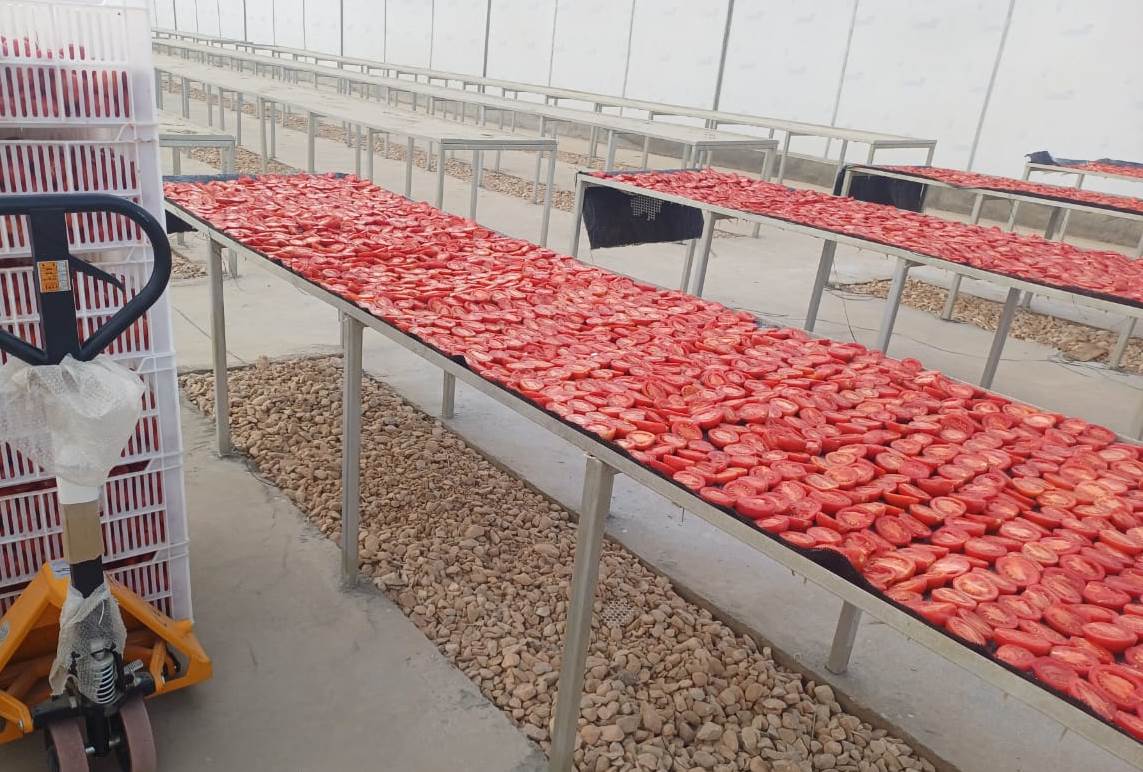 تجهيز منشر طماطم فى مجمع الصناعات بالكيمان