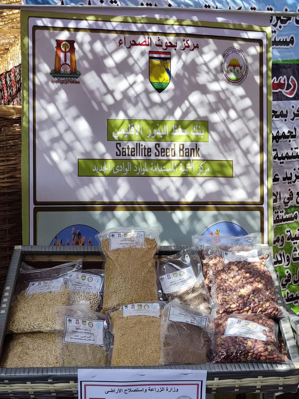 انتاج اصناف مستحدثة من البذور والأسمدة الحيوية