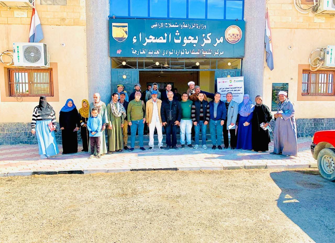 مركز بحوث الصحراء بالوادى الجديد