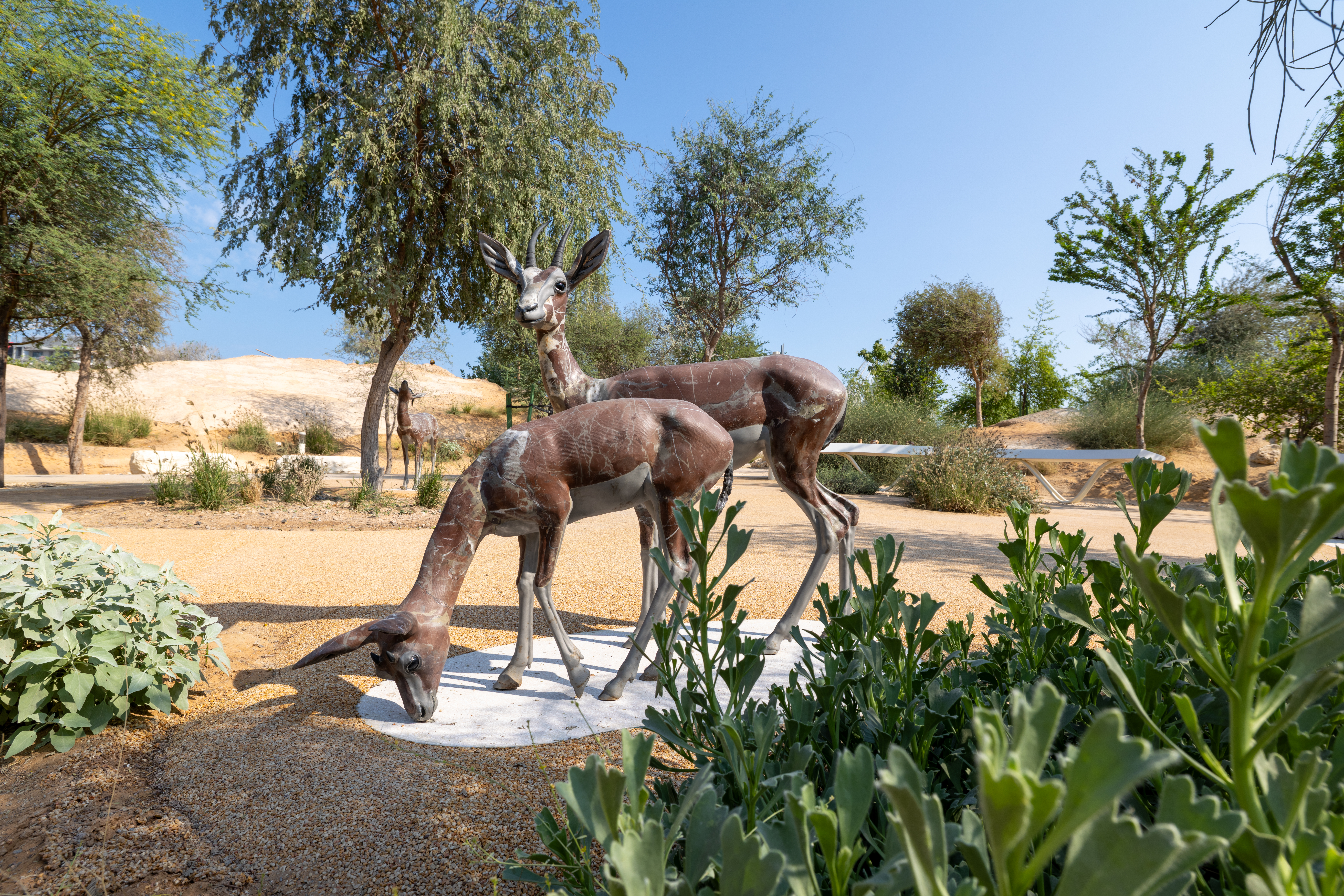 حديقة المسار